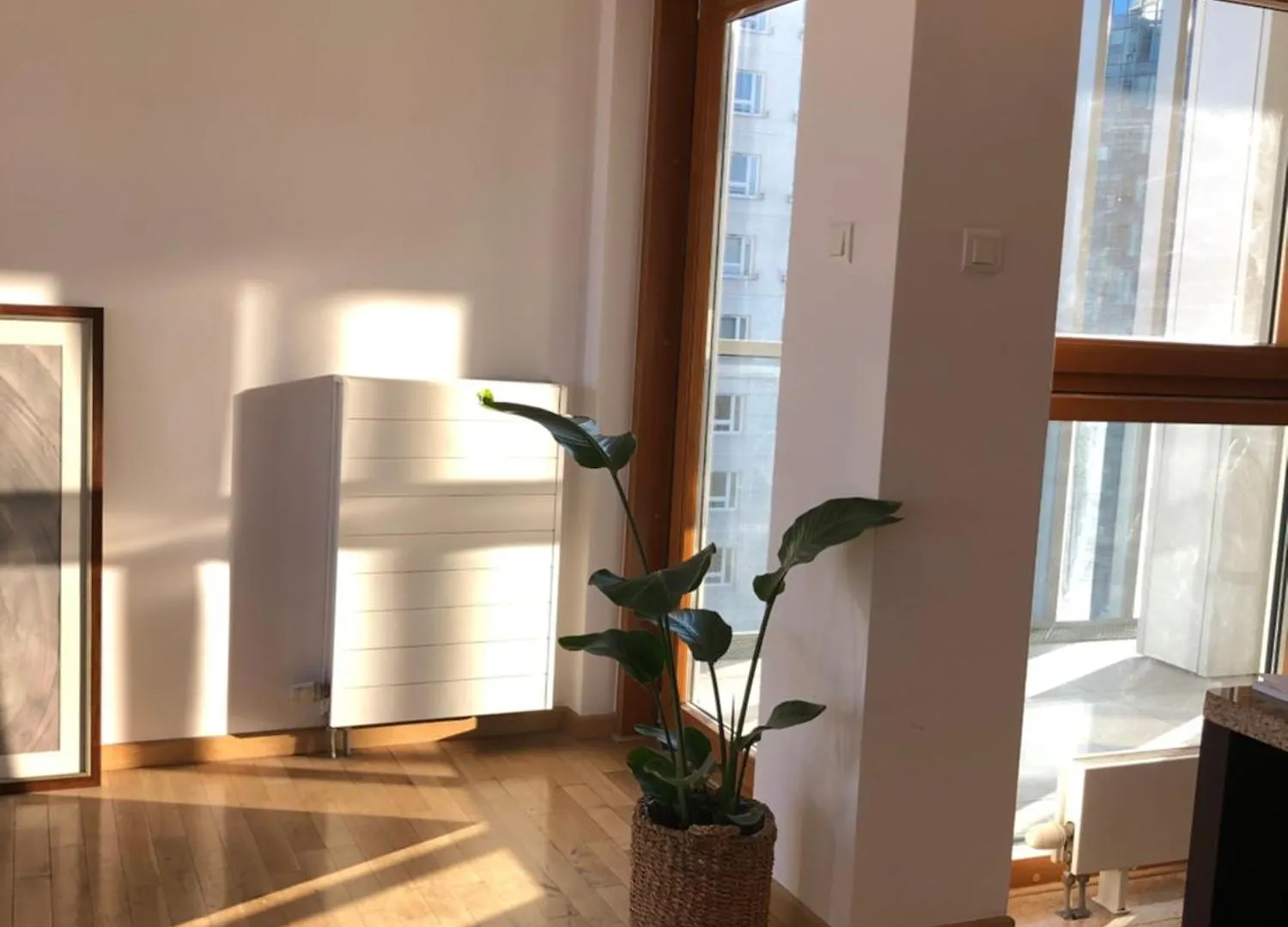 Mieszkanie Z Duzym Tarasem W Centrum Warszawy Warsaw